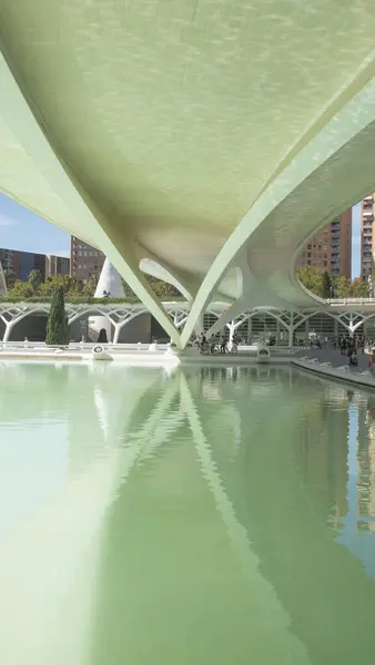 City Arts Sciences Bridge Valencia Spanyolország — Stock Fotó