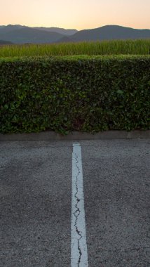 Bir dağ bölgesindeki otoparkın gri asfaltında beyaz çizgiler var.