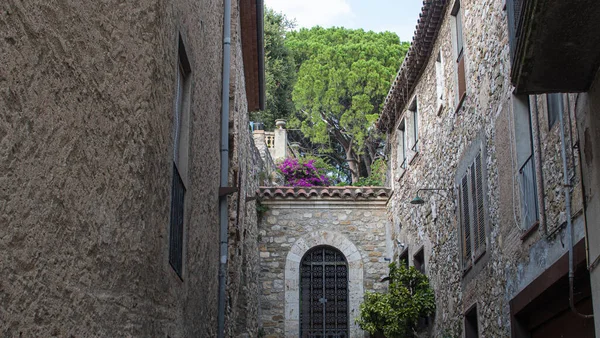 Вид Середньовічне Село Міст Річку Бесалу Каталонії — стокове фото