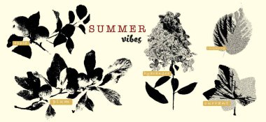 Yaz meyveleri ve çiçek ve grunge dokuları içeren klasik botanik kolajı. Elma, erik, ortanca, ahududu ve frenk üzümü etiketleri içeriyor. Mevsimsel tasarımlar ve kırsal estetik için ideal.