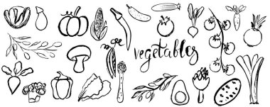  çizilmiş sebzelerin vektör kümesi. - Evet. Vektör illüstrasyonu