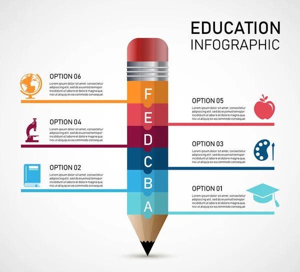 Istruzione Matita Infografica Opzione Illustrazione Vettoriale Design Moderno Piatto Può — Vettoriale Stock
