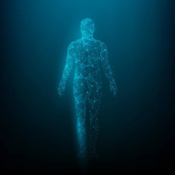 Ανθρώπινο Σώμα Χαμηλό Wireframe Πολυγωνικό Απομονωμένο Σκούρο Μπλε Φόντο Έννοια — Διανυσματικό Αρχείο