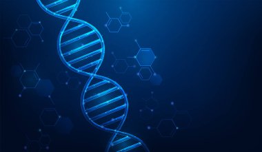 Mavi arka planda DNA genetik biyoteknoloji teknolojisi. kromozom yapısı bilim duvar kağıdı. nano kod yapısı. vektör illüstrasyonu düşük poli kablo çerçevesi.