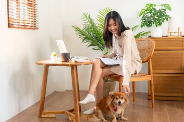 Kadın girişimci, iş verilerini dizüstü bilgisayarda okuyor ve not defterine bilgi yazarken aynı zamanda evdeki oturma odasında çalışmak ve güzel köpekle oynamak için sandalyeye oturuyor..