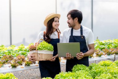 Genç bir çift tarım işletmesi sahibi, sera plantasyonundaki organik hidroponik sebze kalitesini satışı için ihracata hazırlanırken gülümseyip kontrol ediyor..