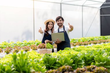 Genç çift tarım işletmesi sahibi çiftçi ve organik hidroponik sebze kalitesini kontrol ediyor ve sera plantasyonunda yönetime ihracata hazırlanıyor..