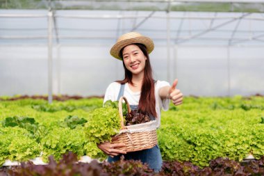 Akıllı kadın çiftçi, sera plantasyonunda organik sebze kalitesini kontrol ediyor ve çalışıyor..