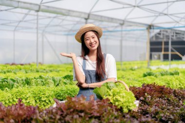 Akıllı kadın çiftçi, sera plantasyonunda organik sebze kalitesini kontrol ediyor ve çalışıyor..