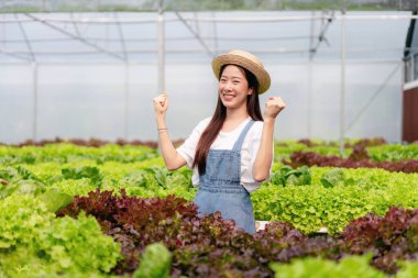 Akıllı kadın çiftçi, sera plantasyonunda organik sebze kalitesini kontrol ediyor ve çalışıyor..