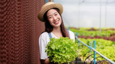 Akıllı kadın çiftçi, sera plantasyonunda organik sebze kalitesini kontrol ediyor ve çalışıyor..