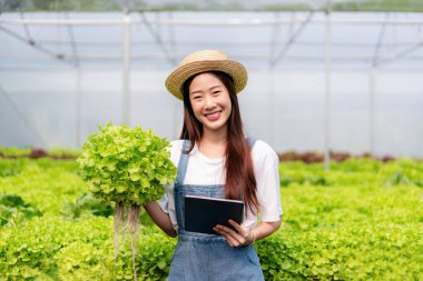 Akıllı kadın çiftçi, sera plantasyonunda organik sebze kalitesini kontrol ediyor ve çalışıyor..