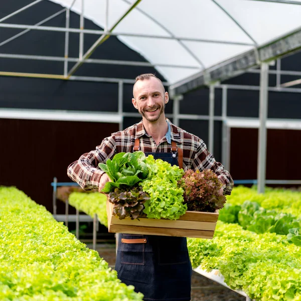 Genç Tarım Işletme Sahibi Çiftçi Sepetin Içinde Organik Hidroponik Sebzelerle — Stok fotoğraf