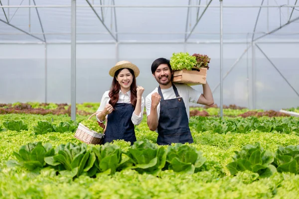 Deux Propriétaires Agrobusiness Couple Agriculteur Travaillant Élevant Des Légumes Hydroponiques — Photo