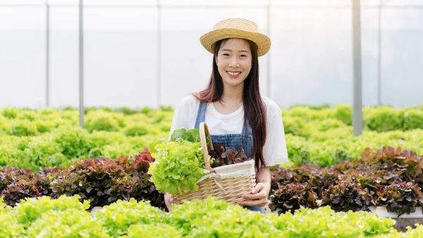Mulher Agricultor Inteligente Trabalhando Verificando Qualidade Vegetal Hidropônica Orgânica Plantação — Fotografia de Stock