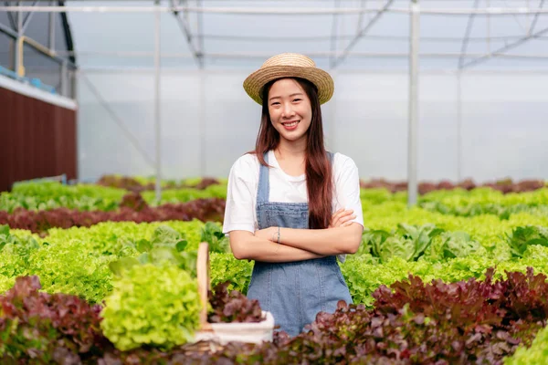 Kvinna Smart Bonde Arbetar Och Kontrollera Ekologisk Hydroponic Grönsakskvalitet Växthusodling — Stockfoto