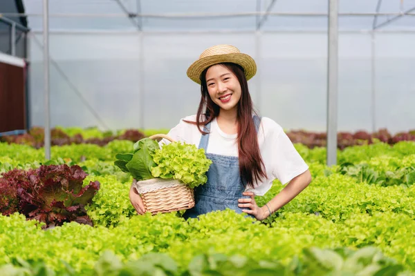 Mujer Agricultora Inteligente Trabajando Comprobando Calidad Vegetal Hidropónica Orgánica Plantación — Foto de Stock