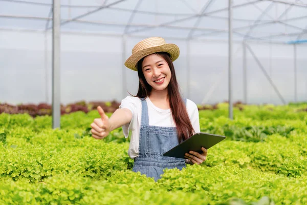 Kvinna Smart Bonde Arbetar Och Kontrollera Ekologisk Hydroponic Grönsakskvalitet Växthusodling — Stockfoto