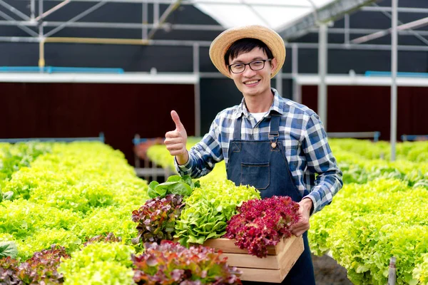 Zeki Çiftçi Başarıyla Gülümseyen Sepetteki Organik Hidrofonik Sebzeleri Satışı Ihraç — Stok fotoğraf