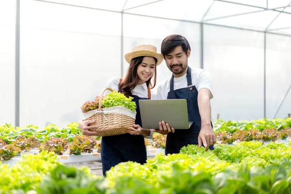 Jeune Couple Propriétaire Agrobusiness Souriant Travailler Vérifier Qualité Des Légumes — Photo