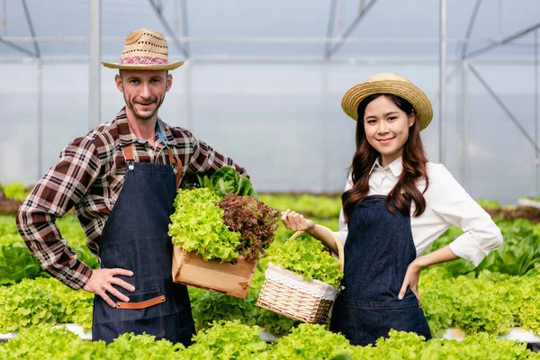 Two couple agribusiness owner farmer working and holding organic hydroponic vegetable in basket to preparing harvest export to sell.