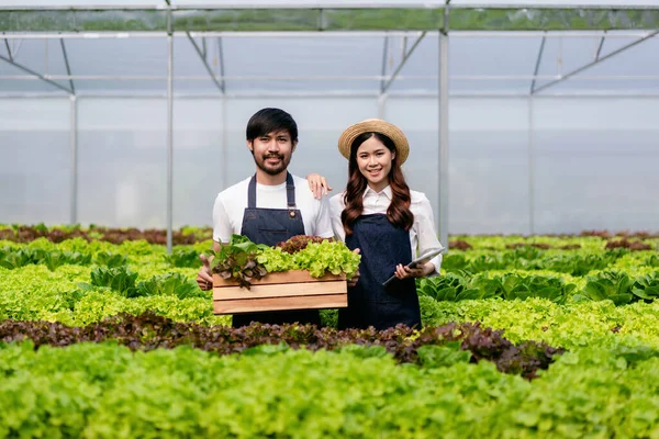 Två Par Jordbruksägare Bonde Arbetar Och Håller Ekologisk Hydroponic Grönsaker — Stockfoto