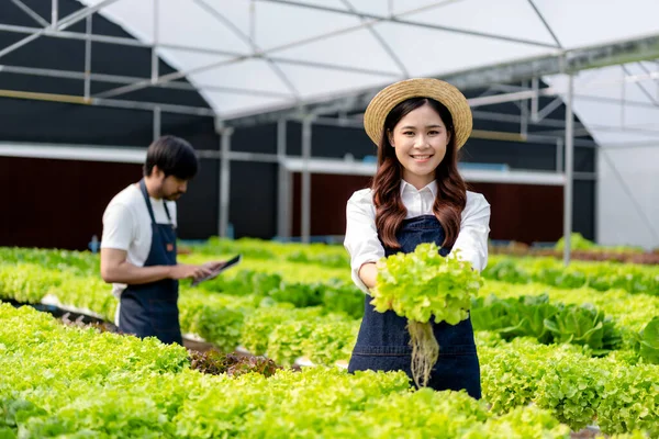 Jeune Couple Propriétaire Agrobusiness Smilling Travailler Vérifier Qualité Des Légumes — Photo