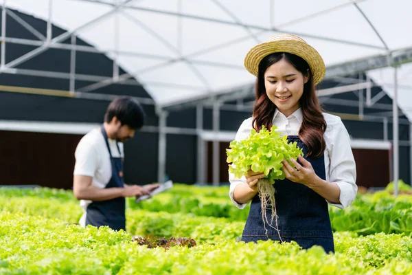 Jeune Couple Propriétaire Agrobusiness Smilling Travailler Vérifier Qualité Des Légumes — Photo