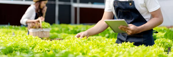 Unga Par Jordbruksföretagare Som Arbetar Och Kontrollera Ekologisk Hydroponisk Grönsakskvalitet — Stockfoto