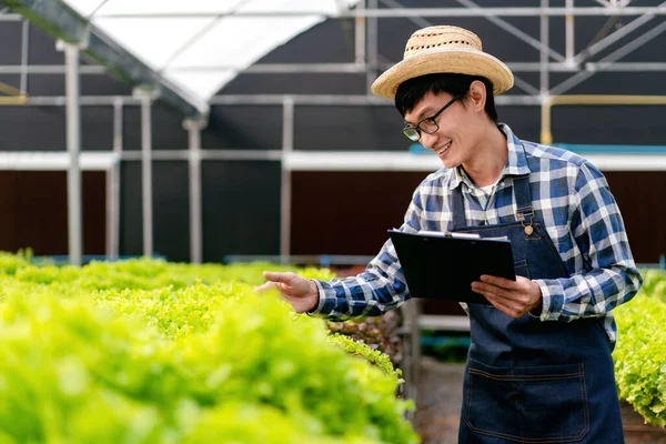Akıllı Çiftçi Sera Plantasyonunda Çalışan Organik Hidroponik Sebze Kalitesini Kontrol — Stok fotoğraf