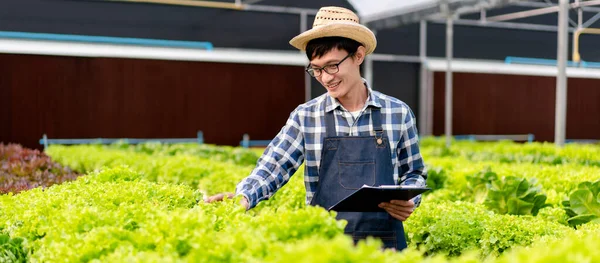 Man smart farmer holding clipboard data working and checking organic hydroponic vegetable quality in greenhouse plantation to preparing harvest export to sell.