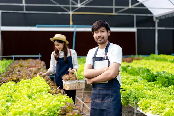 Genç Çiftlerin Tarım Işletmesi Sahibi Gülümseyerek Sera Ekiminde Organik Sebze — Stok fotoğraf
