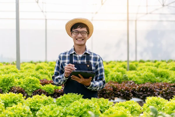Människan Smart Jordbrukare Som Håller Tablett Arbetar Och Kontrollera Ekologisk — Stockfoto