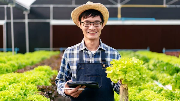 Elinde Tablet Tutan Akıllı Çiftçi Sera Ekiminde Organik Sebze Kalitesini — Stok fotoğraf