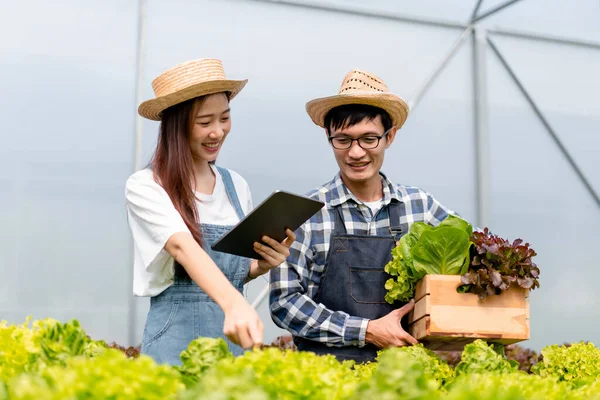 Deux Propriétaires Agrobusiness Couple Agriculteur Travaillant Tenant Une Tablette Vérifiant — Photo