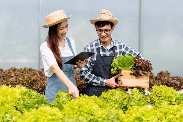 Deux Propriétaires Agrobusiness Couple Agriculteur Travaillant Tenant Une Tablette Vérifiant — Photo