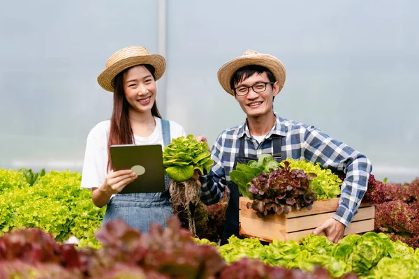 Dos Propietarios Agronegocios Pareja Agricultor Trabajando Sosteniendo Tableta Verificación Vegetales — Foto de Stock
