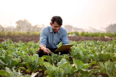 Smart farmer examining quality crop of cabbage vegetables and writing vegetable growth information on clipboard while working and planning system control with technology at agricultural field. clipart