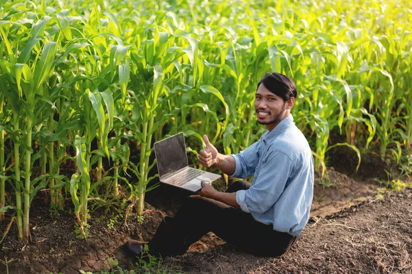 Smart Jordbrukare Som Gör Tummen Upp Gest Och Undersöka Kvantitet — Stockfoto