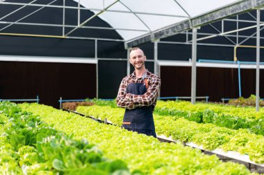 Tarım işçisi ve hidrofonik tarım konsepti, özgüvenli bir adam güler yüzlü ve hidroponik çiftliğinde kolları çapraz durarak ürün toplamadan önce salata sebzelerinin miktarını ve kalitesini inceledikten sonra.