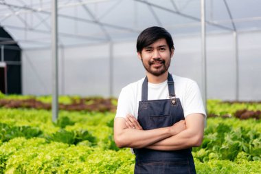 Tarım işçisi ve hidrofonik tarım konsepti, özgüvenli bir adam güler yüzlü ve hidroponik çiftliğinde kolları çapraz durarak ürün toplamadan önce salata sebzelerinin miktarını ve kalitesini inceledikten sonra.