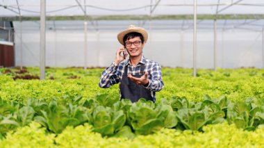 Tarım işçisi ve hidrofonik tarım kavramı, müşteriyle konuşmak için akıllı telefonu kullanan bir adam, serada salata hidrofonik sebzenin ürünüyle ayakta duruyor..