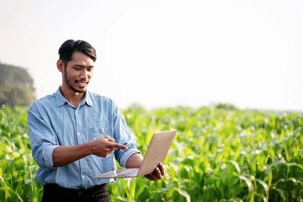 Akıllı Çiftçi Tarım Alanındaki Teknoloji Ile Çalışırken Sistem Kontrolü Planlarken — Stok fotoğraf