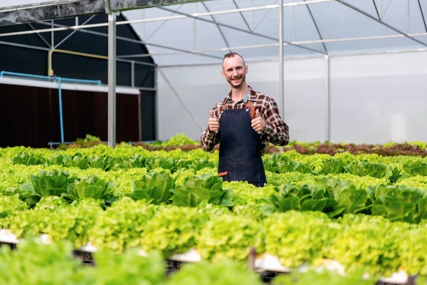 Agribusiness Farmer Hydroponic Farming Concept Man Showing Thumb Gesture Inspecting — Stock Photo, Image