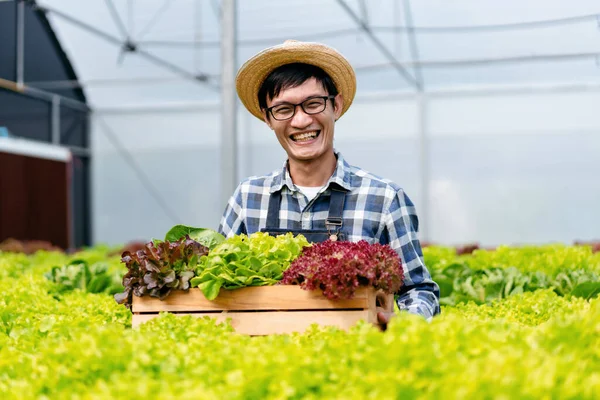 Jeune Propriétaire Agroalimentaire Agriculteur Travaillant Élevant Des Légumes Hydroponiques Biologiques — Photo