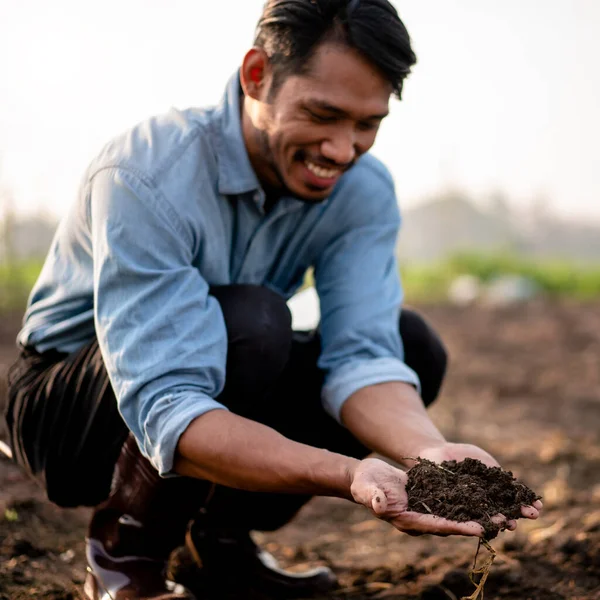 Akıllı Çiftçi Tarım Alanında Teknoloji Ile Sebze Yetiştirmeden Önce Çalışma — Stok fotoğraf