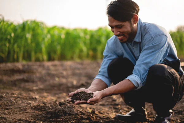 Akıllı Çiftçi Tarım Alanında Teknoloji Ile Sebze Yetiştirmeden Önce Çalışma — Stok fotoğraf