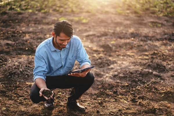 Smart farmer holding soil in his hand and using digital tablet to examining quality of soil for working and planning system control before vegetable growing with technology at agricultural field.