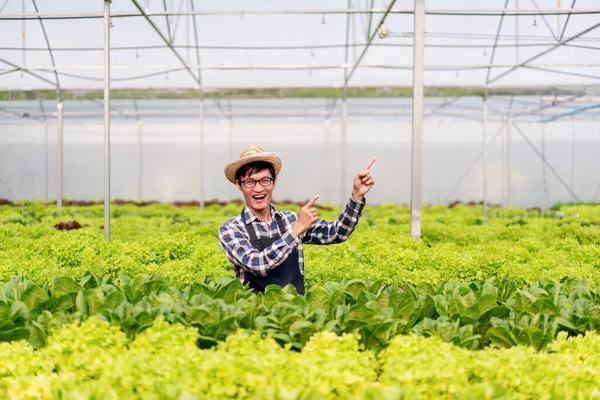 Agricultor Agroindustrial Concepto Cultivo Hidropónico Hombre Sonriendo Señalando Dedo Índice — Foto de Stock