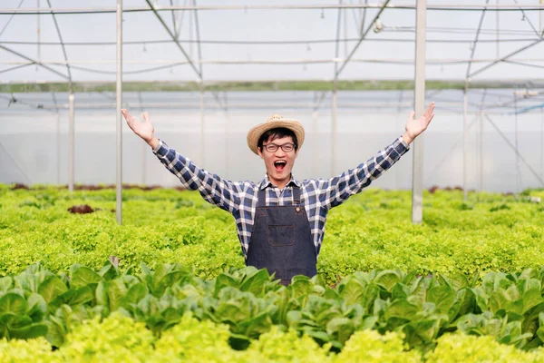 Tarım Işçisi Hidrofonik Tarım Konsepti Gülümseyen Kollarını Kaldıran Adam Seradaki — Stok fotoğraf